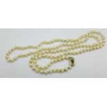 A string of cultured pearls with a 14ct gold clasp set with a sapphire, some pearls a/f, 86cm