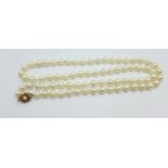 Cultured pearls with a 9ct gold clasp