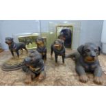 A Crufts Best of Breed Winner 1995 glass presentation plaque, five Rottweiler figures, and two other