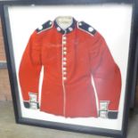 A framed and mounted Coldsteam Guards uniform jacket/tunic