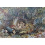 J. Turner (19th Century), bird's nest on a mossy bank, watercolour, signed lower left, 18 x 27cms,
