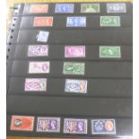 Stamps; GB Queen Elizabeth II unmounted mint commemoratives on stock sheets, appears complete from