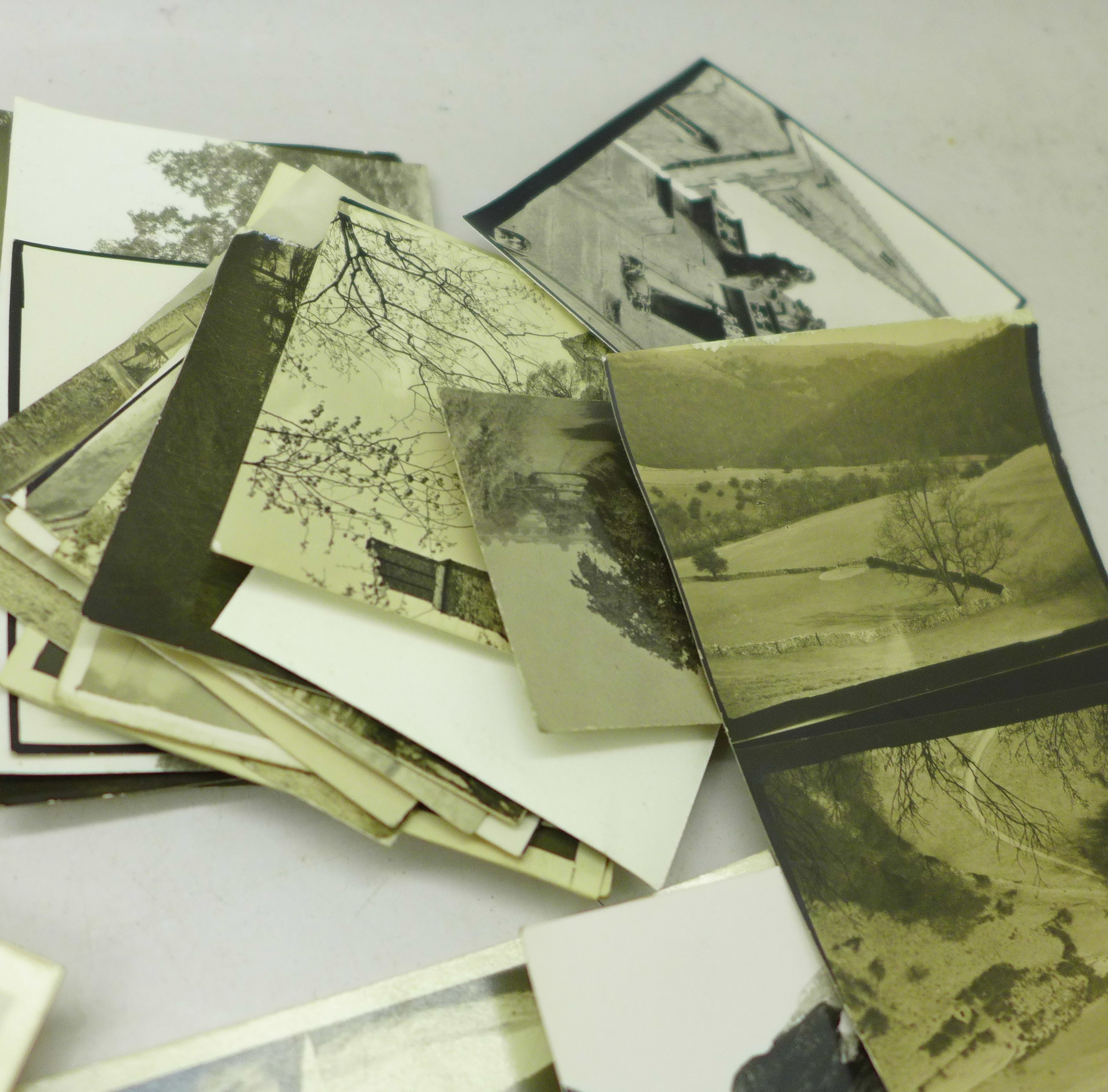 A box of small black and white photographs, Nottingham (Wollaton and area) and Derbyshire (Dovedale, - Bild 4 aus 4