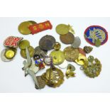 Badges, medallions, etc., including two RAF badges and a RAF dog tag, P Warner 1627727, and a