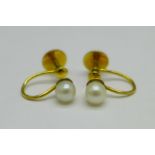 A pair of yellow metal and pearl earrings with screw backs, with box, 1.5g