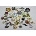 A collection of brooches