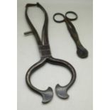 A pair of 19th Century sugar snips and one other smaller pair of cutters