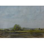 David Webb, rural Norfolk landscape, watercolour, 28 x 38cms, framed