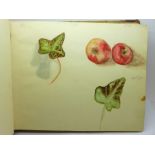 A 1920's sketchbook of watercolour and pencil drawings