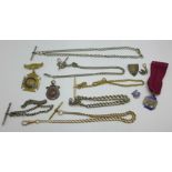 Albert chains including one silver, 32g, a silver school shield badge, a football fob medal, a