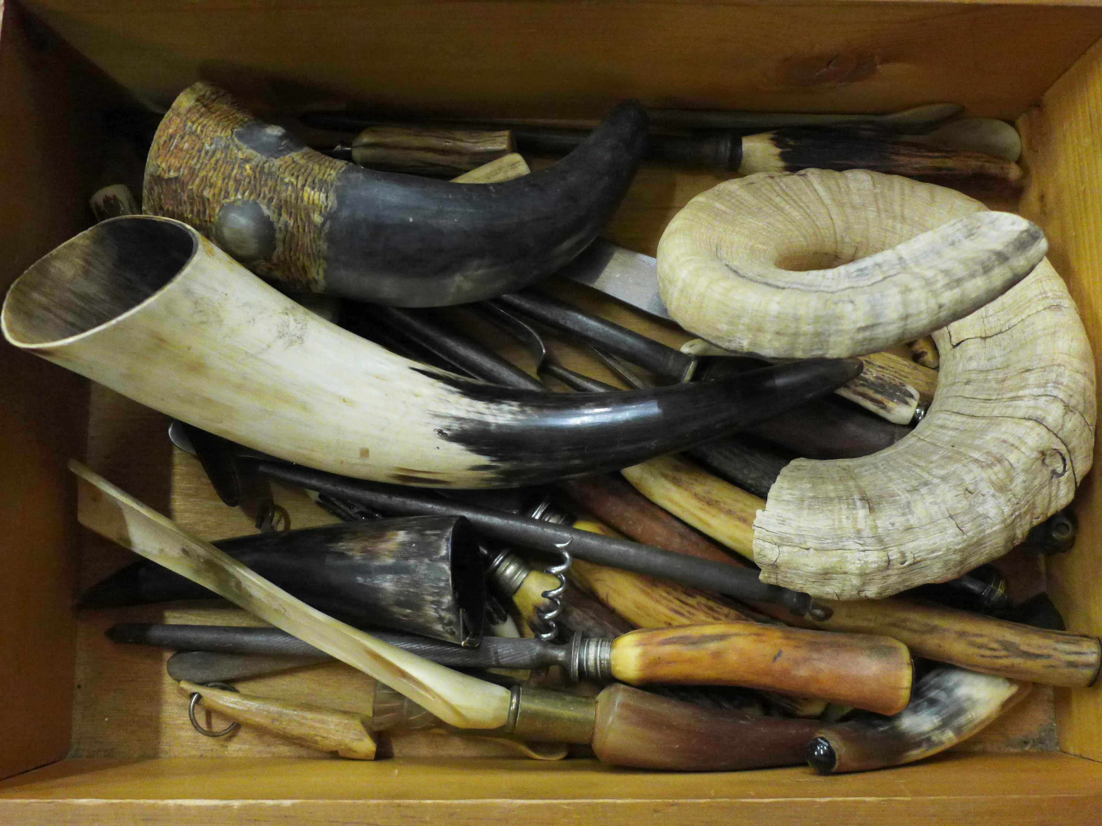 A collection of antler and horn items