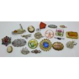 Twenty-one brooches