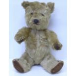 A jointed Teddy bear with plush body, 37cm