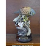 A Royal Doulton limited edition model of a Kestrel, number 10 of 950, (DA144)