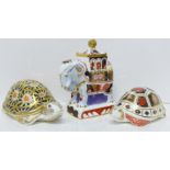 Two Royal Crown Derby tortoise paperweights, both with gold stoppers and a Royal Worcester Nelson