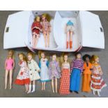 A collection of 1970's Palitoy Pippa dolls