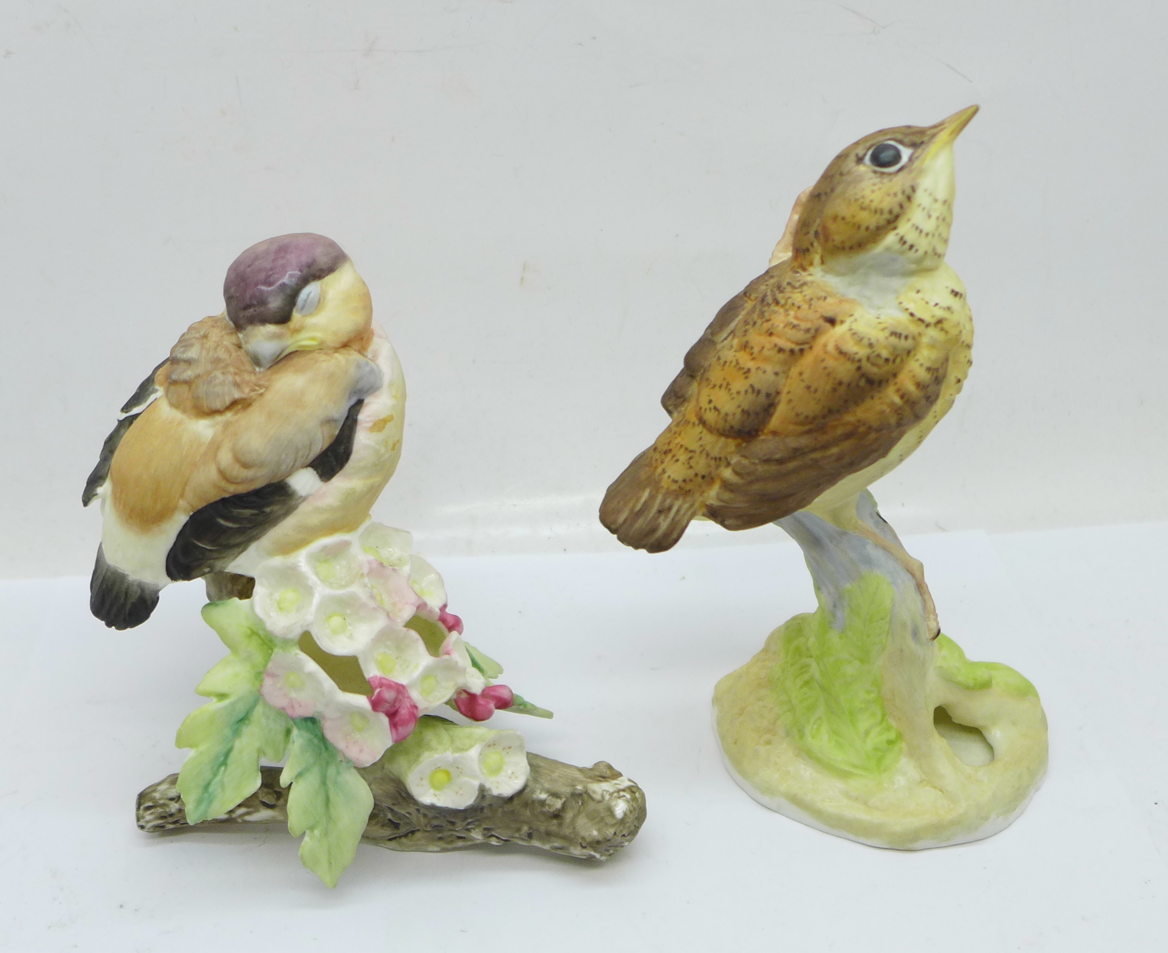 Two Royal Worcester birds; fledgling robin and fledgling bullfinch