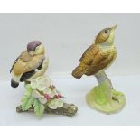 Two Royal Worcester birds; fledgling robin and fledgling bullfinch