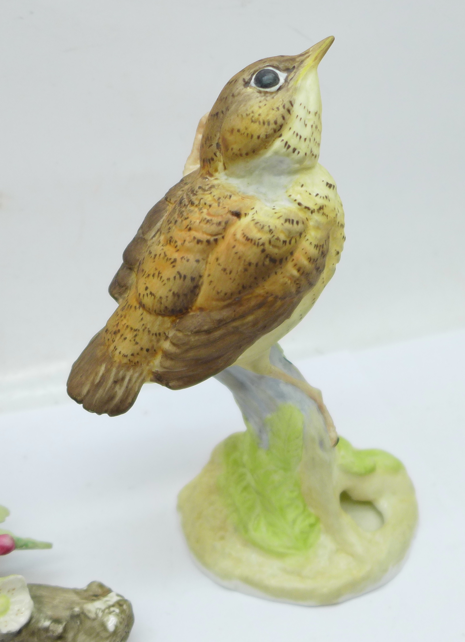 Two Royal Worcester birds; fledgling robin and fledgling bullfinch - Image 3 of 5