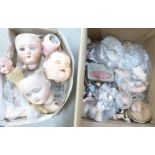 A box containing doll's heads and other doll parts