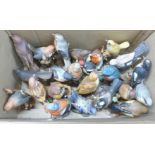 A collection of bird figures **PLEASE NOTE THIS LOT IS NOT ELIGIBLE FOR POSTING AND PACKING**