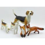 Three Beswick hounds, one a/f and two foxes, one fox a/f