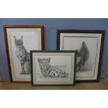 Two Gary Hodges limited edition signed prints and a pencil study of a tiger, indistinctly signed,