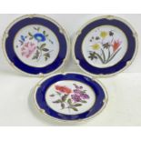 Three Chamberlains porcelain hand painted plates with blue ground border, 21.5cm