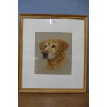 Mary Browning, pastel portrait of a labrador, framed