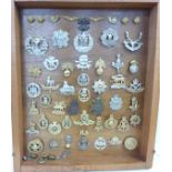 A collection of Regimental cap badges and buttons, mounted in a display case (61)