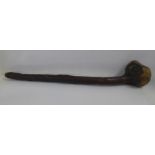 An Old Irish Blackthorn Shillelagh fighting club, 66cm