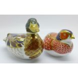Two Royal Crown Derby paperweights, Pheasant and Mallard with gold stopper, boxed