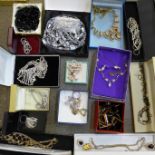 A collection of costume necklaces and jewellery