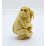 A carved ivory Japanese monkey netsuke, signed