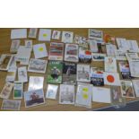 Sporting related trade cards, golf, motor racing, etc.