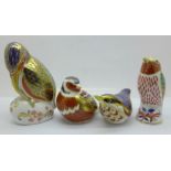 Four Royal Crown Derby Bird paperweights; Nuthatch, Chaffinch, Kingfisher and Hummingbird, all
