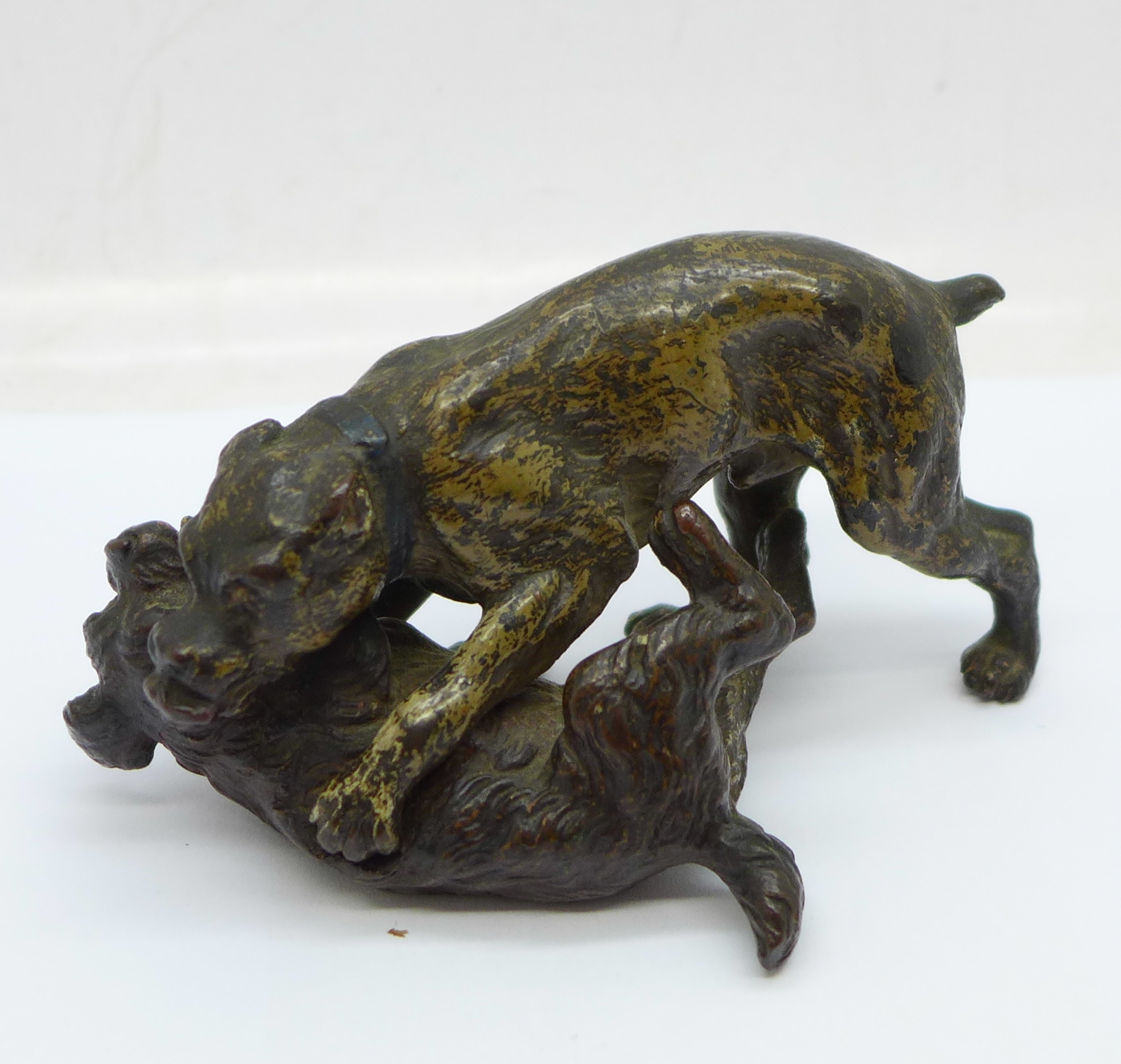 A cold painted bronze of two play fighting dogs, 95mm wide