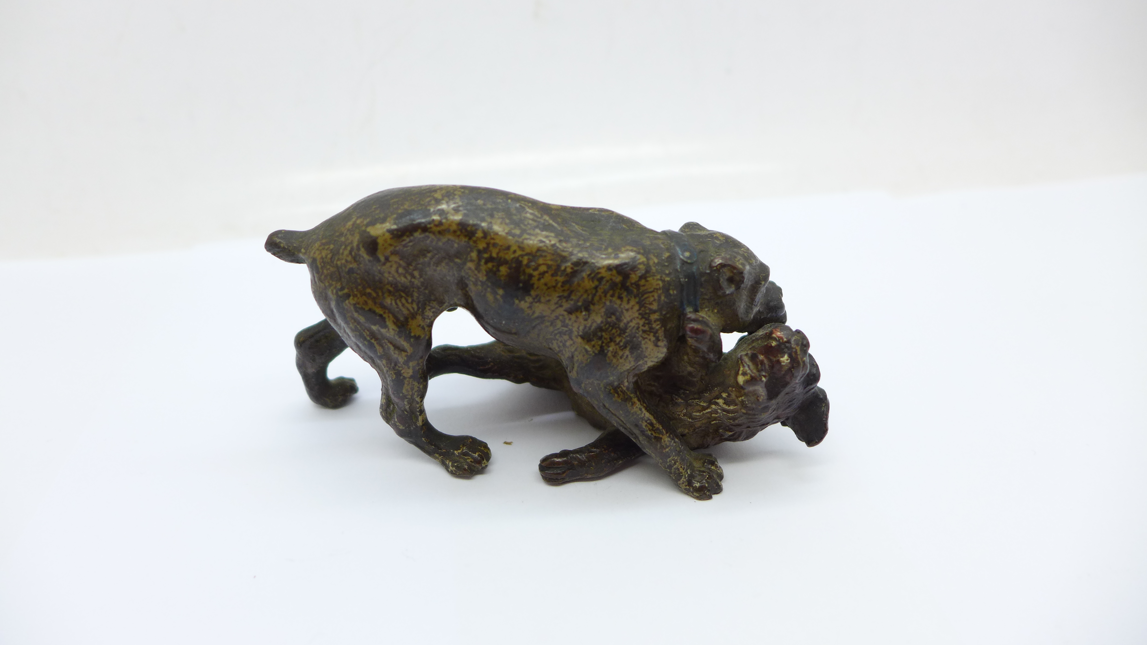 A cold painted bronze of two play fighting dogs, 95mm wide - Image 3 of 3
