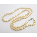 A long freshwater pearl necklace with silver clasp, 90cm