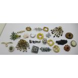 Brooches and scarf clips