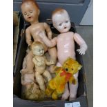 Dolls and a Teddy bear **PLEASE NOTE THIS LOT IS NOT ELIGIBLE FOR POSTING AND PACKING**