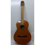 A Spanish acoustic guitar with soft case