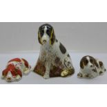 Three Royal Crown Derby paperweights - Collector's Guild Exclusives, 'Molly' and 'Scruff Puppy' both