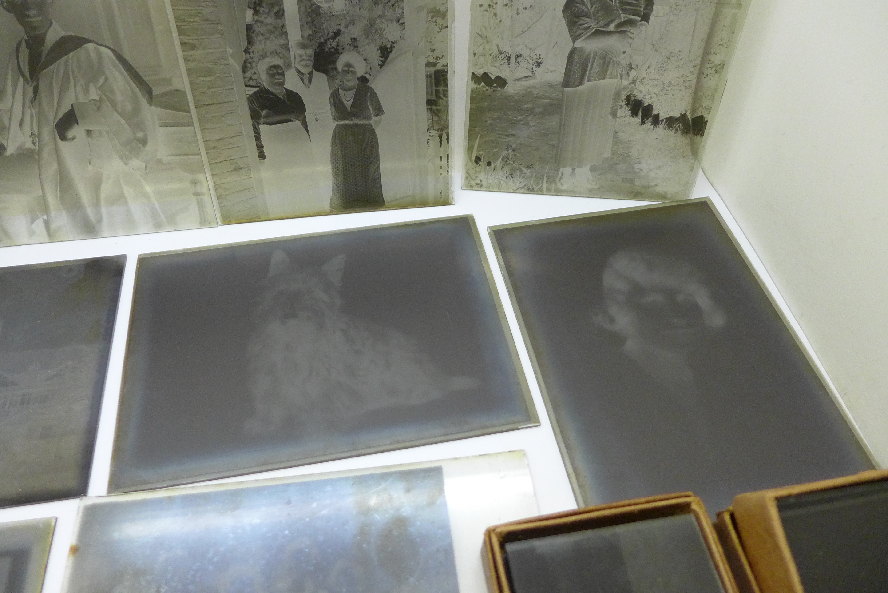 Six boxes of glass plate negatives (sixty plates), Edwardian, various subjects - Image 5 of 9