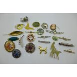 A collection of twenty-four costume brooches