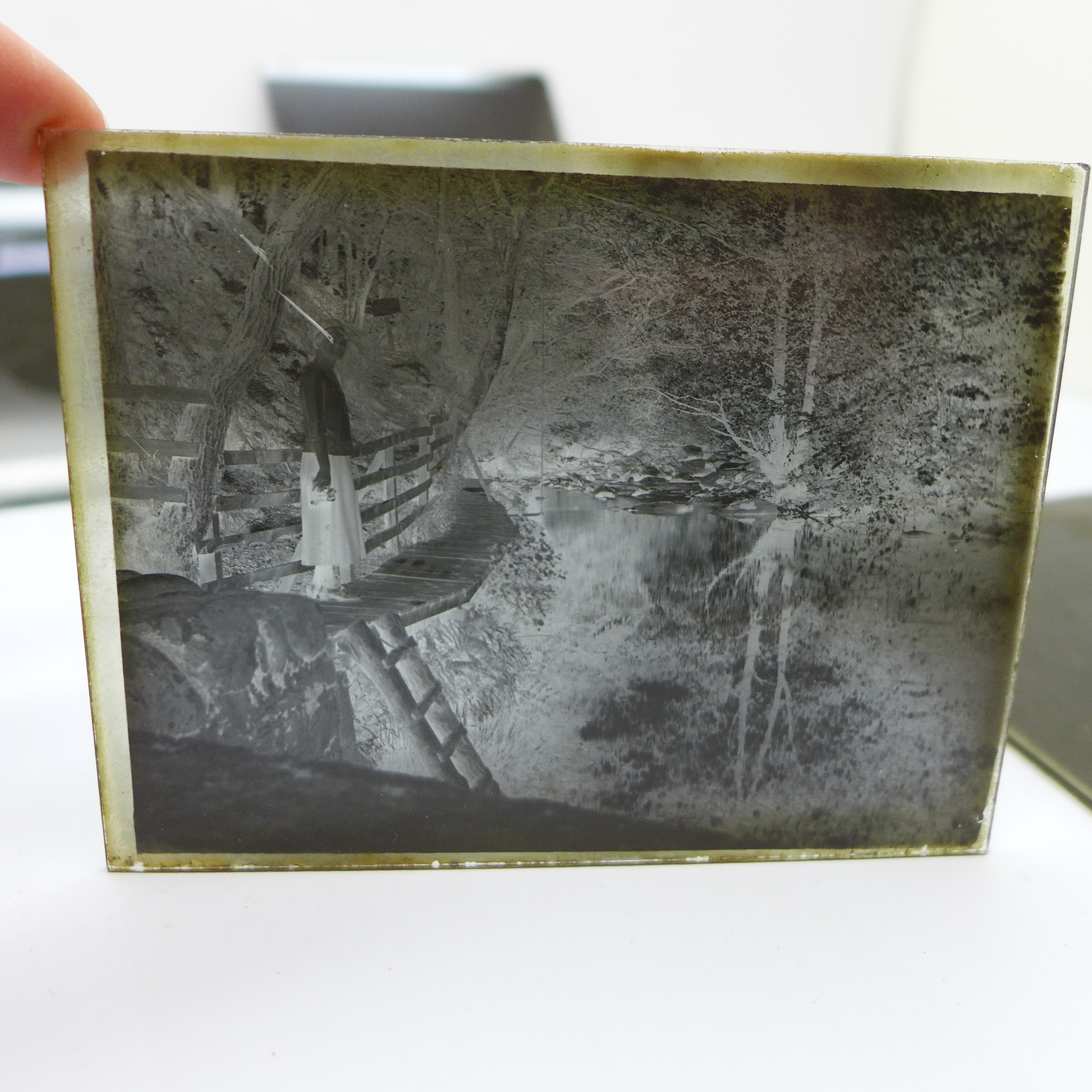 Six boxes of glass plate negatives (sixty plates), Edwardian, various subjects - Bild 9 aus 9