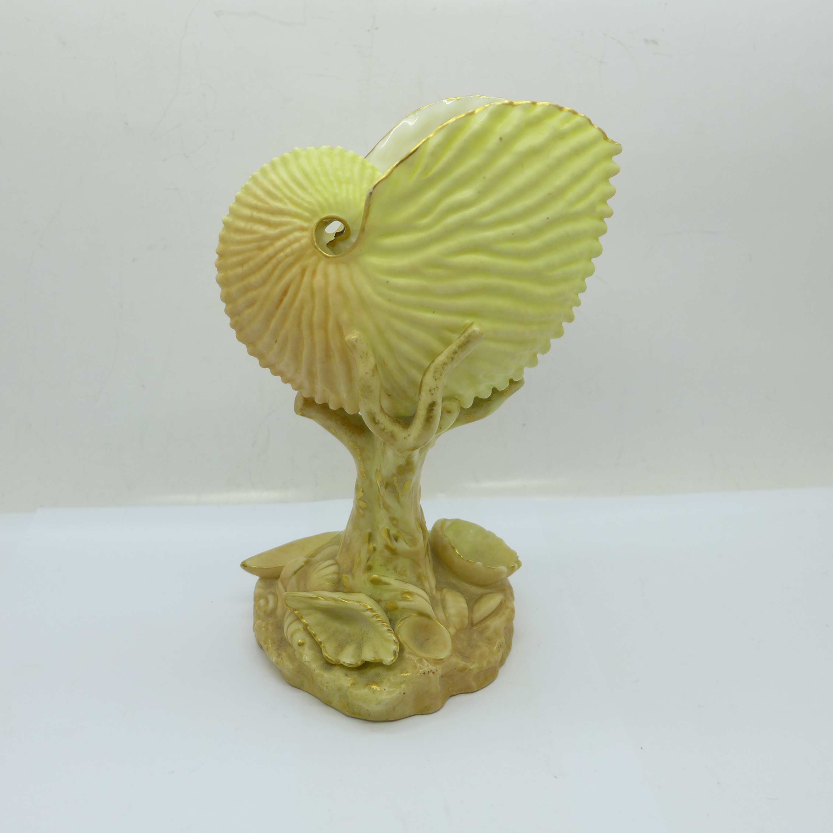 A Royal Worcester blush ivory nautilus shell vase, 17cm - Image 2 of 3