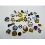 A collection of enamel and metal badges