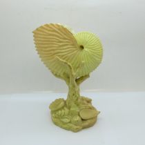 A Royal Worcester blush ivory nautilus shell vase, 17cm