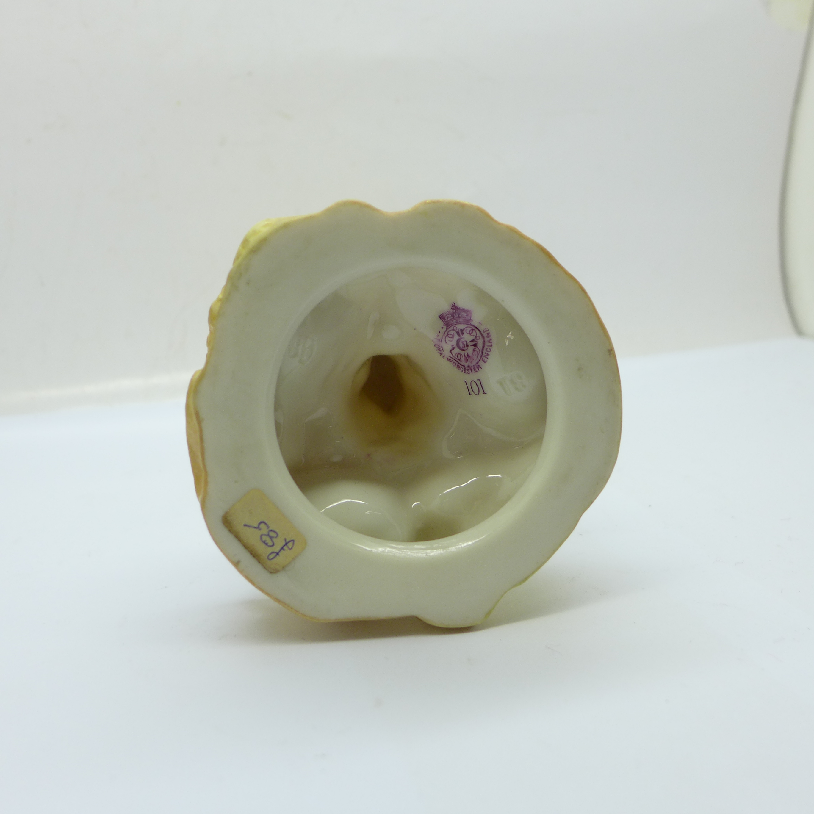 A Royal Worcester blush ivory nautilus shell vase, 17cm - Image 3 of 3